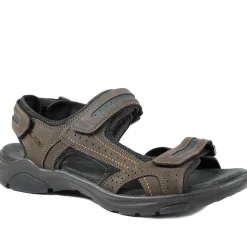 Comfy Triple Touch Fasten Sandals - Dark Brown